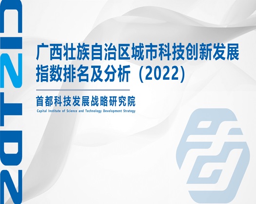 操逼逼污污【成果发布】广西壮族自治区城市科技创新发展指数排名及分析（2022）